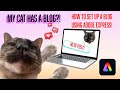 How to Make a Blog with Adobe Express (feat. My Cat!)