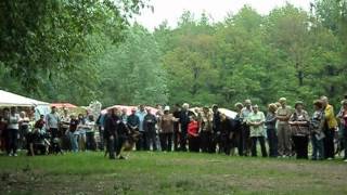MOV03921.AVI Легендарный Рыцарь