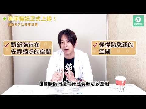 【貓醫生的觀察日記】新手貓奴正式上線！養貓新手注意事項篇｜PetTalk×林子軒獸醫師