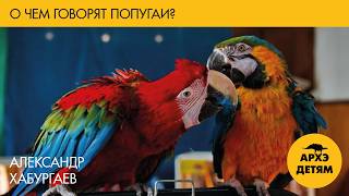 О чем говорят попугаи | Александр Хабургаев (выпуск 79)
