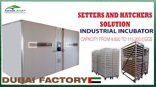 Industrial Incubator Setter and Hatcher | Capacity from 4,800 to 115,200 eggs