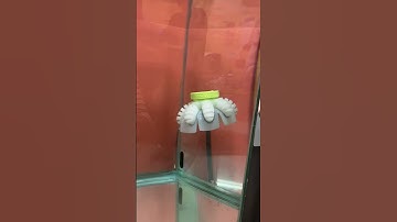 Jellyfish project with GreenSight