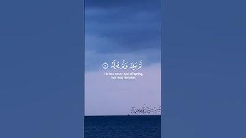 سورة الإخلاص للقارئ ماهر المعيقلي #قرآن #راحة_نفسية #ماهر_المعيقلي #يوم_عرفة