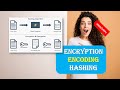 Encryption, Encoding & Hashing Explained: Key Differences in Hindi/Urdu 🔐