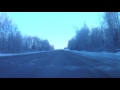 Лось на зимней дороге