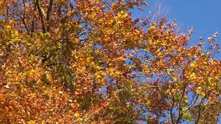 Outdoor learning – build your vocabulary on the move!