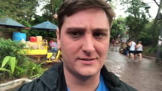 Animal Kingdom & Location Reveal | Disney College Program Fall 2017 |
