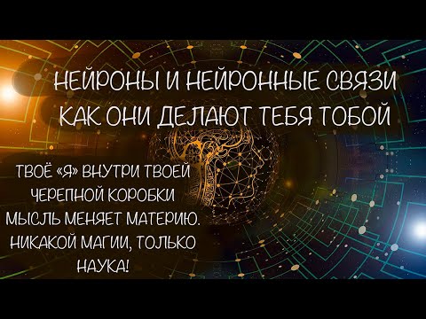 Нейроны. Как нейронные связи делают тебя тобой. И как мысль меняет материю в виде мозга. Перестройка
