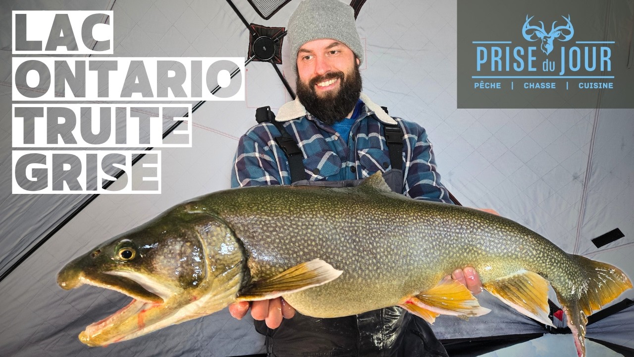 Pêche à la truite grise gigantesque au lac Ontario