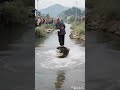 Funny, cute pets, rural life, original, boo absurd videos