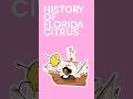 History of Florida Citrus Production #shorts