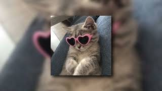 Mac Demarco - Heart To Heart Sped Up