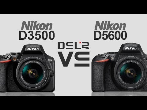 Nikon D3500 vs Nikon D5600