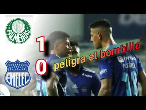 Palmeiras vs Emelec 0 - 1 peligra el bombillo copa libertadores resumen