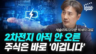 2차전지 아직 안 오른 주식은 바로 '이겁니다' (박세익 대표)