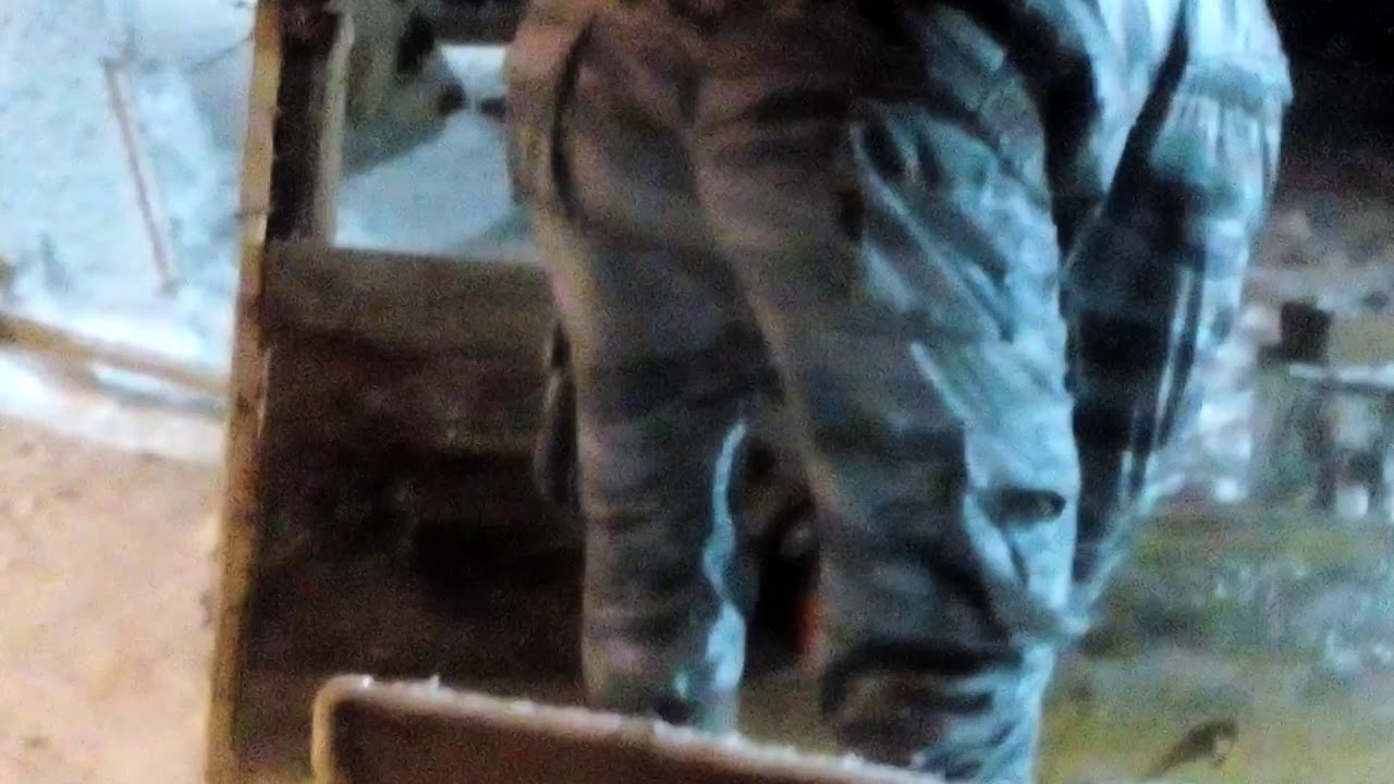 Резкий звук, реакция. - YouTube