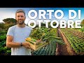 Cosa COLTIVARE a OTTOBRE: orto autunnale. Più di 30 ORTAGGI