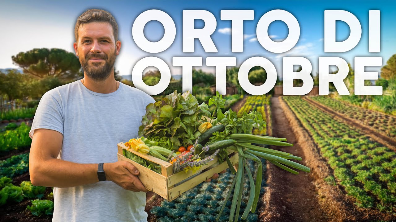 Cosa COLTIVARE a OTTOBRE: orto autunnale. Più di 30 ORTAGGI - YouTube