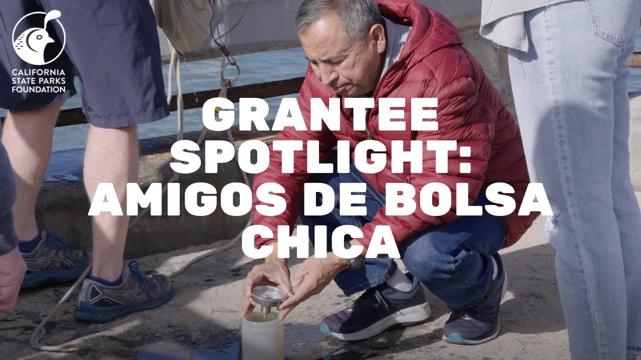 Grantee Spotlight - Amigos de Bolsa Chica - YouTube