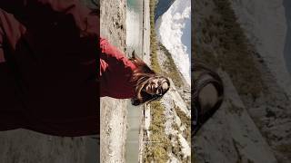 Mindblowing Slowmotion Test in iphone 16 pro (4K 120fps )