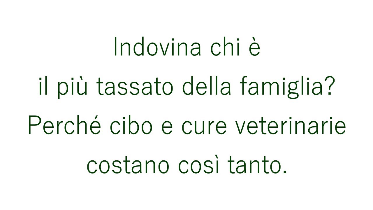 Perchè Le Schede Video Costano Così Tanto