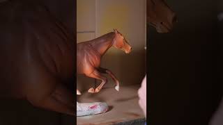 Breyer Custom Polo Pony Horse #breyer #breyers #breyerhorses #horse #art #horseart #modelhorse