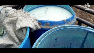 RIMO MANIS SIPITUHUTA KEC MEREK KAB KARO