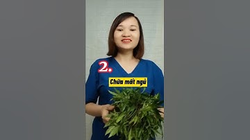 3 tác dụng thần kỳ khi uống nước lá đinh lăng