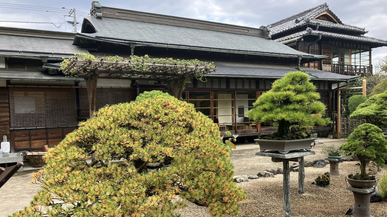 (4K) JR高尾駅付近の日本庭園、水琴窟の調べ