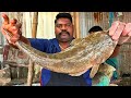 Kasimedu  speed selvam  udupathi fish cutting  in kasimedu  ff cutting 