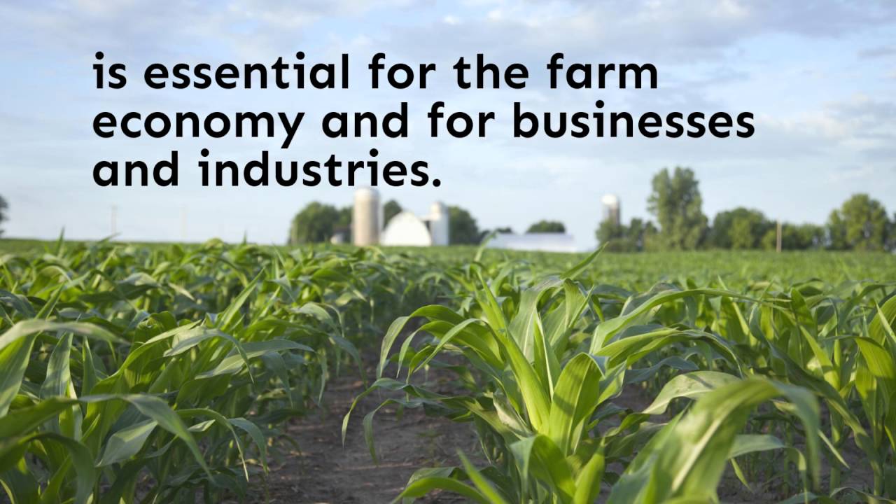 Gary Dahms for MN Senate Agriculture YouTube