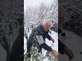 Kar Kaplamış #köy #bahçe #garden #doğa #güller #farming #farmer #zeynep #youtubeshorts #kar #arif
