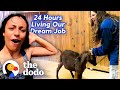 24 Hours Living Our Dream Job | The Dodo
