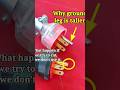 The Reason Why We Need Ground Wire Explore Tips Electrician Science Technology Shortvideo mp3