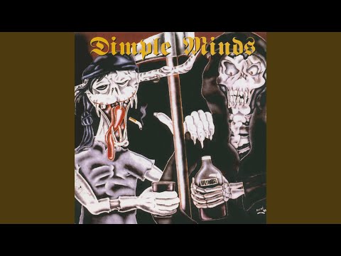 Dimple Minds - Nachbarn