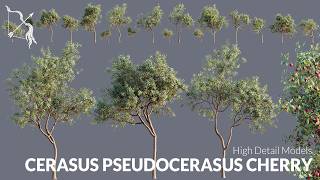 Hyper realistic 3D Assets Cerasus Pseudocerasus Cherry Tree for UE5 | Hyper realistic WIND, RAIN