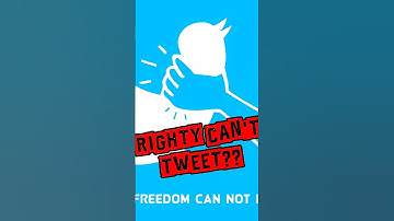 Joe Rogan Noticed Something Strange After Elon Bought Twitter. JRE Podcast.