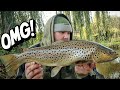 MONSTER Fish From Small River - River Dane Chub Fishing - Dannys Angling Blog