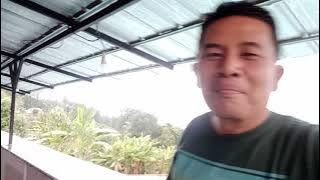 VILA RINI MEGA MENDUNG