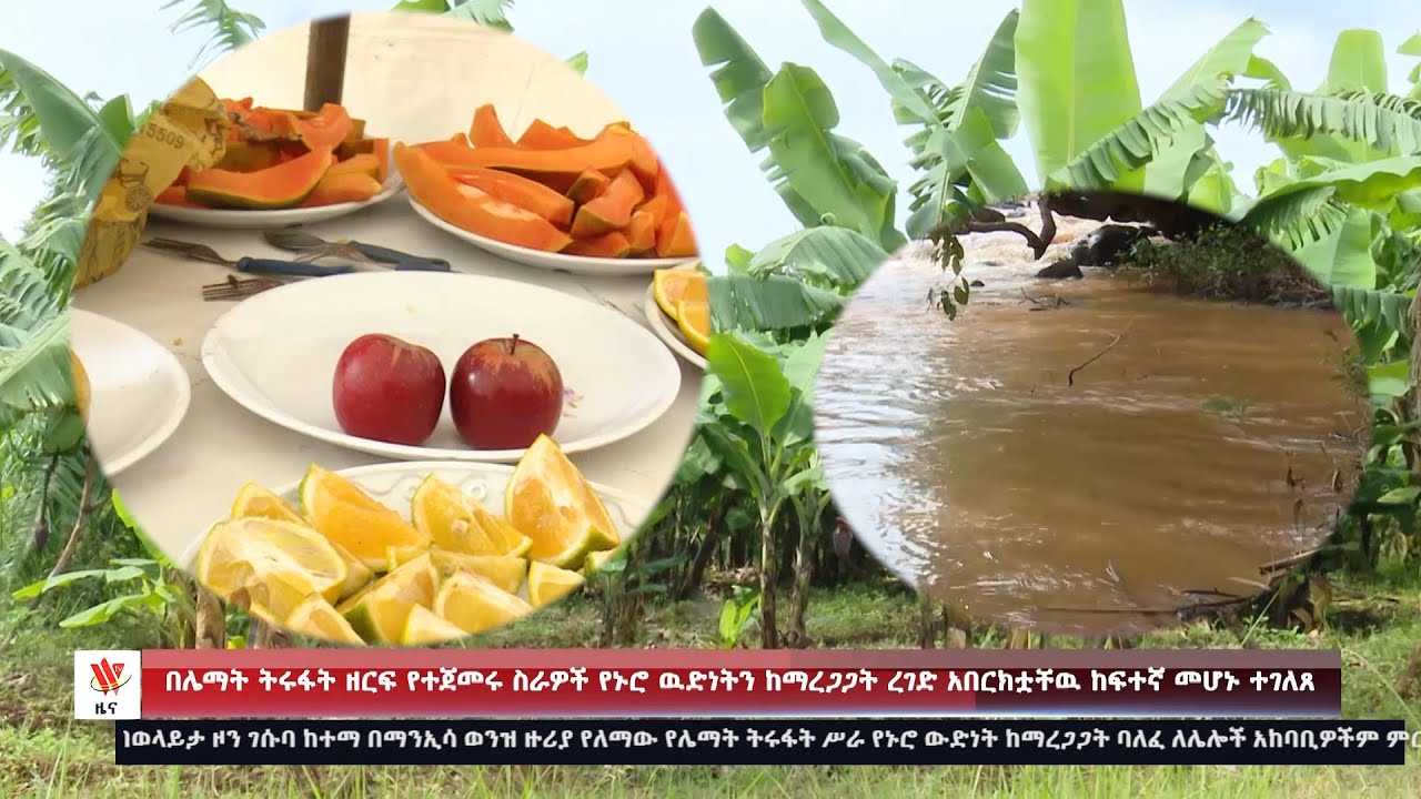 በሌማት ትሩፋት ዘርፍ የተጀመሩ ስራዎች የኑሮ ውድነትን ከማረጋጋት ረገድ አበርክቷቸው ከፍኛ መሆኑ ተገለጸ ...
