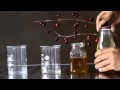 3 Layer Density Project - Science Experiment for Kids | Educational Videos by Mocomi