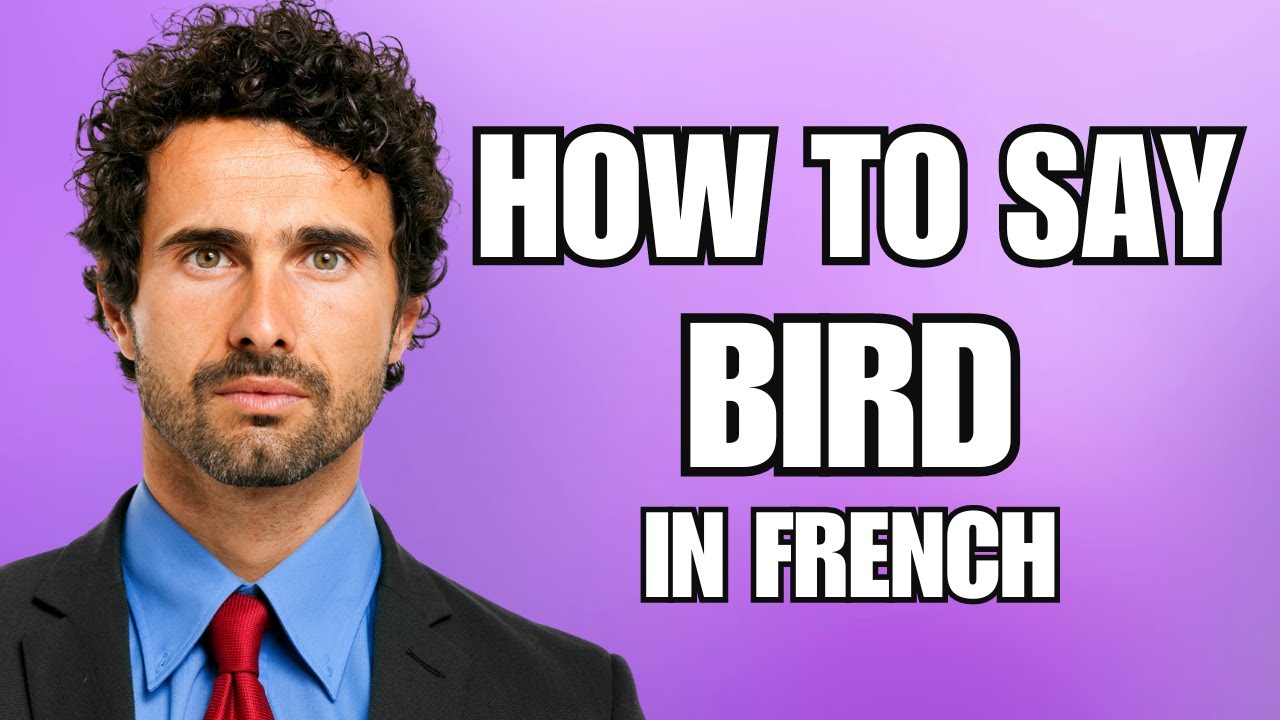 How To Pronounce Bird In French Correctly YouTube how-to-pronounce-bird-in-french-correctly-youtube