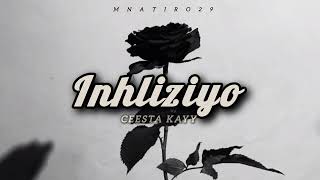 Inhliziyo