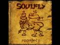 Soulfly - Born Again Anarchist