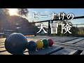 リアルビー玉ビーすけの大冒険 『トーベヤンソンの森〜メッツァビレッジ』の巻