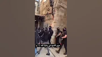 وصية ابو فتحي تعم ارجاء الوطن عرين الاسود نابلس 