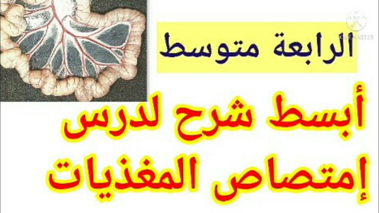 امتصاص المغذيات دروس العلوم الطبيعية للرابعة متوسط#مراجعة شاملة للعلوم الطبيعية لرابعة متوسط bem