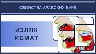 Айман Сувейд. 7. Свойства букв: ИЗЛЯК И ИСМАТ (русские субтитры)