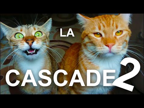 LA CASCADE 2 - PAROLE DE CHAT