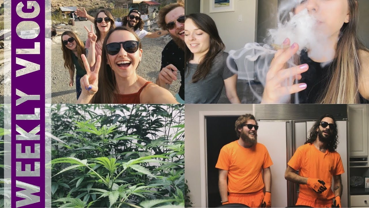 Weekly Vlog // Behind the Scenes at Leafly's GreenHouse!!